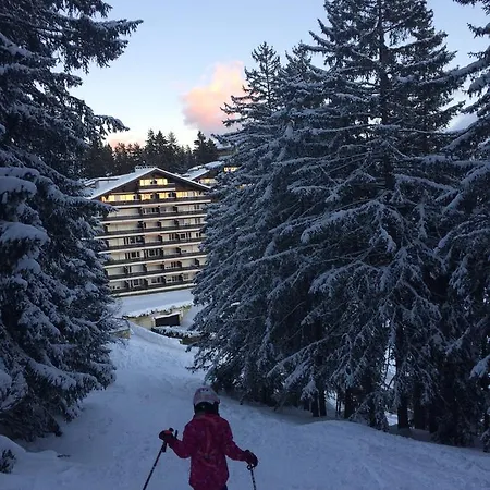 Appartement Choucas A Crans-Montana