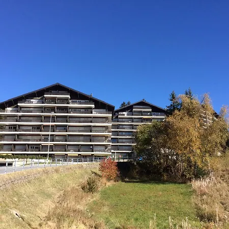 Choucas A Appartement